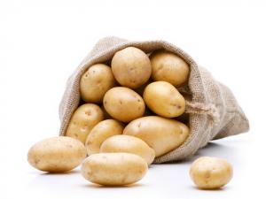 馬鈴薯的營養價值-馬鈴薯的種植技術