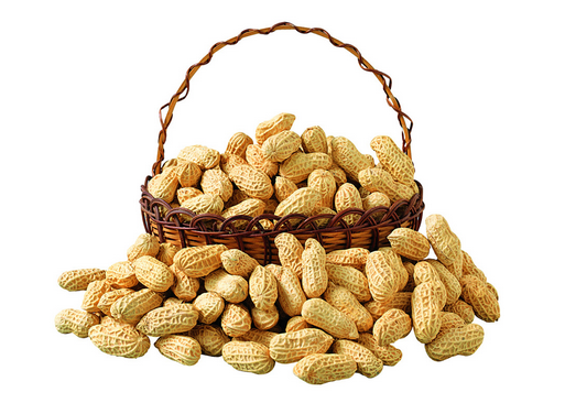 �����ķNֲ���g-�����Ĺ�Ч�c����