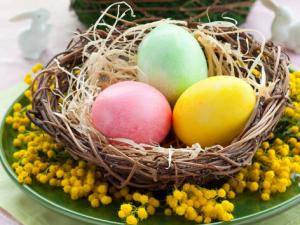 蛋黃顏色越深雞蛋的營養價值越高