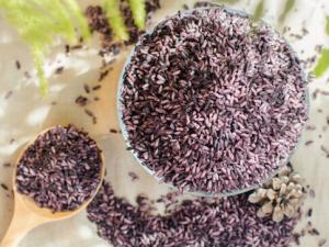 紫米的營養價值及功效-墨江紫米是什么?