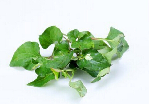 �~�ȲݵĹ�Ч-�~�Ȳ��������ˎ