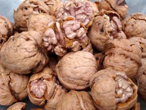 吃核桃有什么好處?核桃的功效與作用