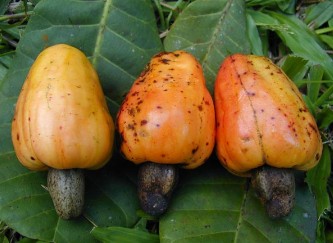 �����ĠI�B�rֵ