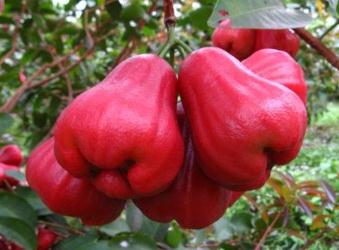 ɏ�F��Ҫ�Ãrֵ