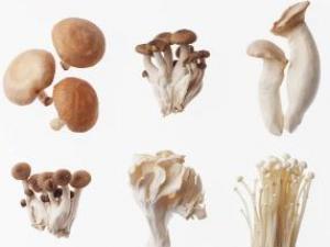 吃蘑菇有什么好處？蘑菇的營養價值