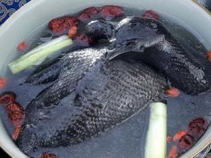 烏雞怎么吃最有營養?烏雞的功效與作用