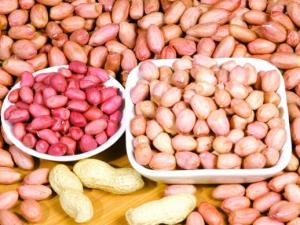 花生皮能吃嗎?關(guān)于吃花生米要不要帶皮吃