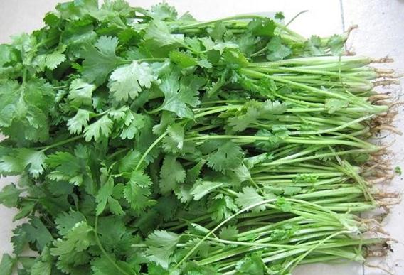 香菜有什么樣的營(yíng)養(yǎng)價(jià)值?香菜的營(yíng)養(yǎng)價(jià)值-香菜的功效與作用
