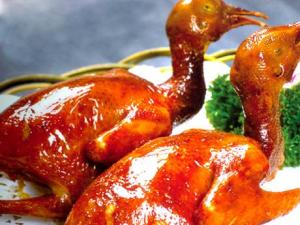 吃鴿子有什么好處?鴿子的營養價值