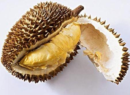 ����ɏ��ʲô��̎����ɏ�Ĺ�Ч�c����