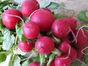 水蘿卜的功效與作用-水蘿卜的營養價值