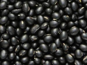 黑豆怎么吃最有營養?黑豆的功效與作用及營養價值