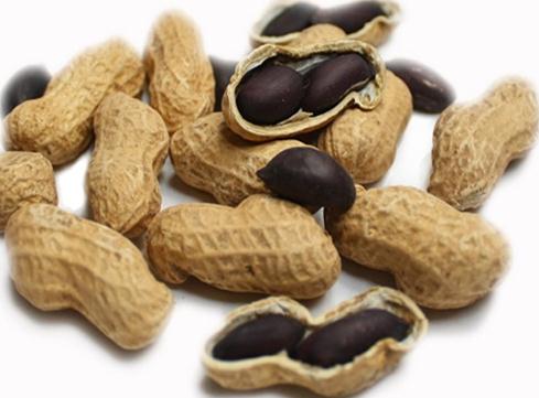 �Ժڻ����ĺ�̎-�ڻ����ĠI�B�rֵ