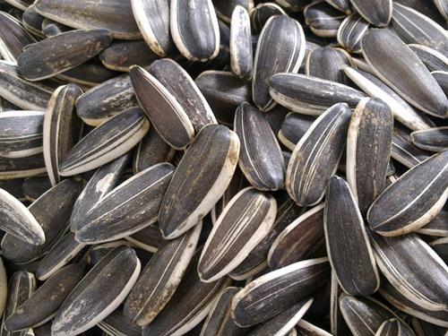 ���ӵĠI�B(y��ng)�rֵ-�����m��ʲô�˳�