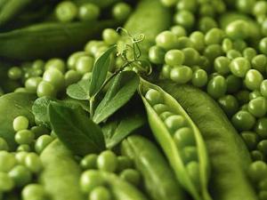 吃青豆有什么好處？青豆的功效與作用，青豆營養價值