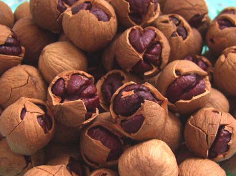 ɽ���ҵĠI(y��ng)�B(y��ng)�r(ji��)ֵ-��ɽ���ҵĺ�̎