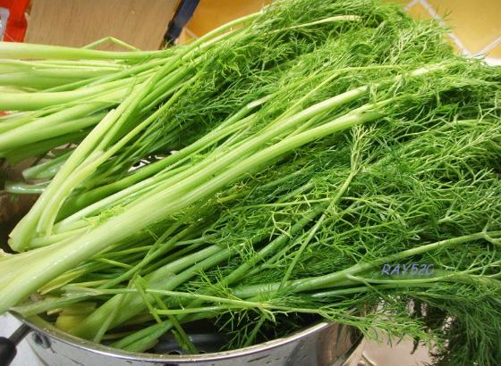 С����Ĺ�Ч�c����-С����ĠI�B(y��ng)�rֵ