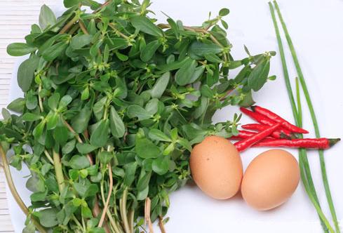 �R�X�{�Ĺ�Ч�c����-�R�X�{��ˎ�Ãr(ji��)ֵ