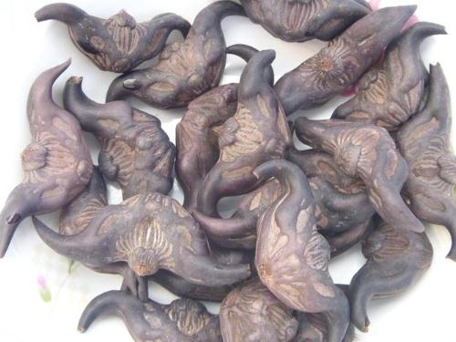 ��ǵĠI�B�rֵ-��ǵ�ʳ�ù�Ч