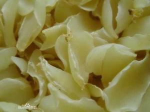 百合的功效與作用-百合的營養價值