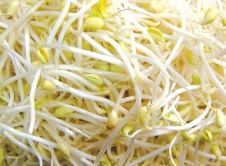 �S��ѿ�ĠI�B(y��ng)�rֵ-�S��ѿ�Ĺ�Ч�c����