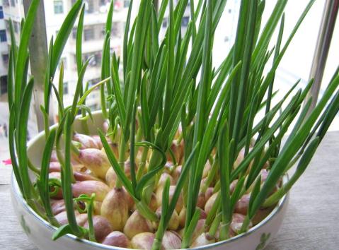 ����ĠI�B�rֵ-��������ʲô��̎