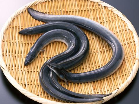 �����~(y��)��ʲô��̎�����~(y��)�ĠI(y��ng)�B(y��ng)�r(ji��)ֵ