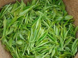 兒茶的功效與作用-兒茶的的藥用價(jià)值