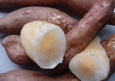 ѩɏ���Ĺ�Ч�c����-ѩɏ���ĠI(y��ng)�B(y��ng)�r(ji��)ֵ