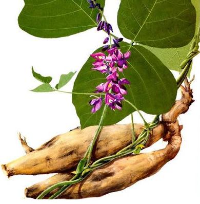 ����������c��Ч-��Щ�����m�ϳԸ��