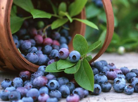 �����ص�����-�����،����w����̎