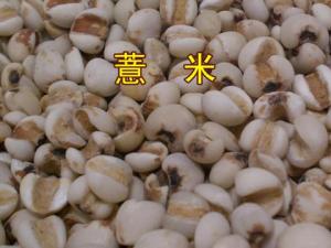 薏米的功效與作用-薏米的營(yíng)養(yǎng)價(jià)值