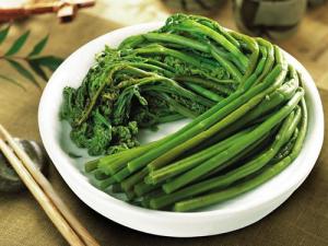蕨菜的營養(yǎng)價值-蕨菜的功效與作用