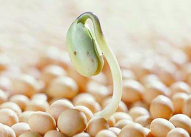 ���Զ��ʳƷ�ĺ�̎-���N��ĠI�B�rֵ