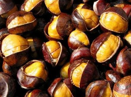 �԰�����ʲô��̎���԰�����Ҫע��ʲô