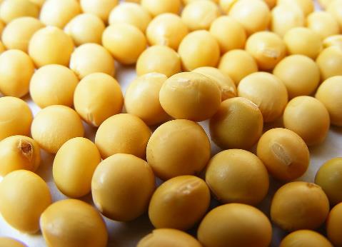 ���S����ʲô��̎���S����ʲô�I(y��ng)�B(y��ng)�r(ji��)ֵ