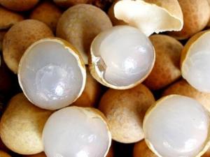 夏天吃龍眼能補血補氣嗎?吃龍眼的好處