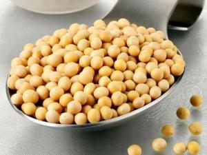 常吃黃豆有什么好處？黃豆的營養價值、功效與作用