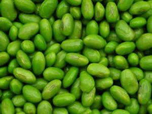 常吃毛豆有什么好處？毛豆的營養(yǎng)價值、功效與作用