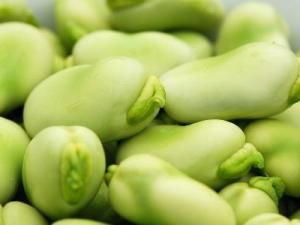 吃胡豆有什么好處?胡豆的功效與作用