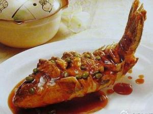 什么魚的營養價值最高?6種最常見魚營養分析