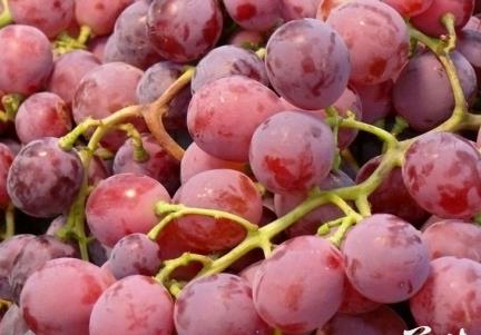 ��������ʲô��̎�����ӵĹ�Ч�cʳ������