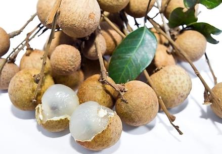 �Թ��A��ʲô��̎�͠I�B�����A��Ĺ�Ч�c����