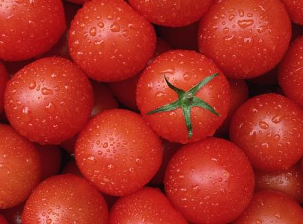 ��ʥŮ����ʲô��̎��ʥŮ���Ĺ�Ч�c����