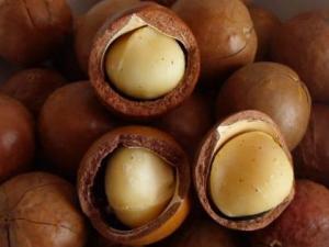 吃夏威夷果有什么好處?夏威夷果的功效與作用