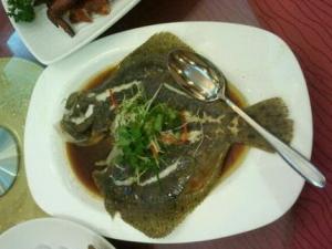 蒲魚的功效與作用，蒲魚的營養(yǎng)價(jià)值分析