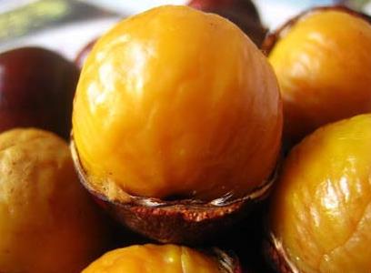 �F���ĠI�B�rֵ����Ч�c���á�ʳ�ý���