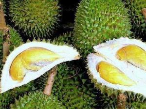 榴蓮的營養價值、功效與作用、食用禁忌
