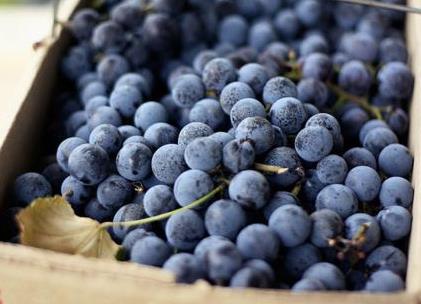 �ڼӁ��ĠI�B�rֵ-�ڼӁ��Ĺ�Ч�c����