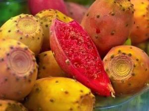 仙人掌果的營(yíng)養(yǎng)價(jià)值-仙人掌果的功效與作用